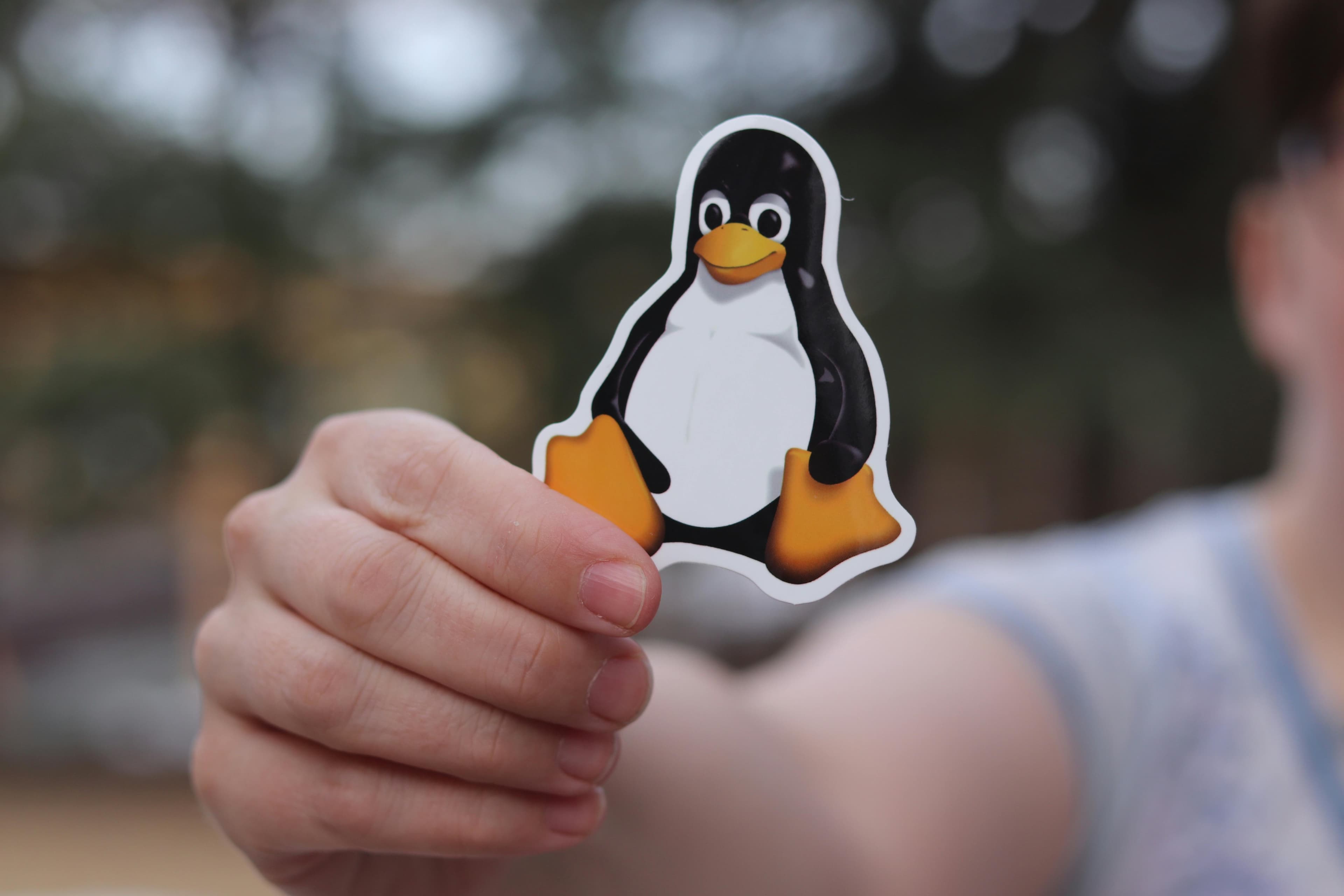 Windows, MacOs ili Linux?